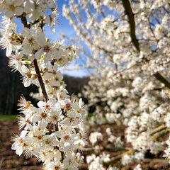 23-03-17 10-40-30 4880